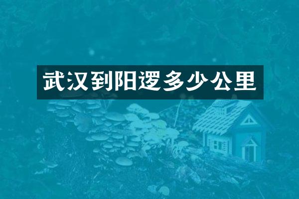 武汉到阳逻多少公里