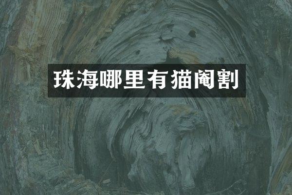 珠海哪里有猫阉割