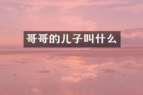 哥哥的儿子叫什么