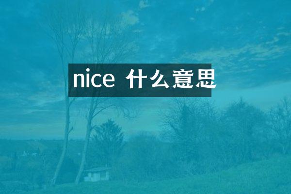 nice 什么意思