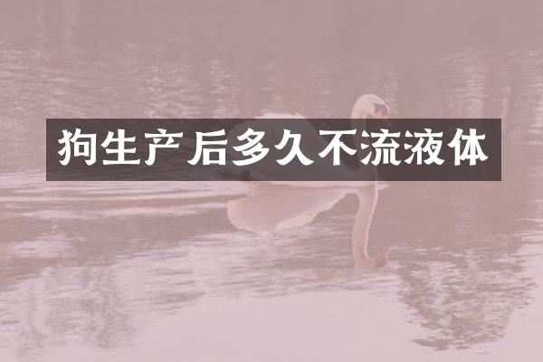 狗生产后多久不流液体