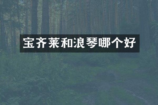 宝齐莱和浪琴哪个好