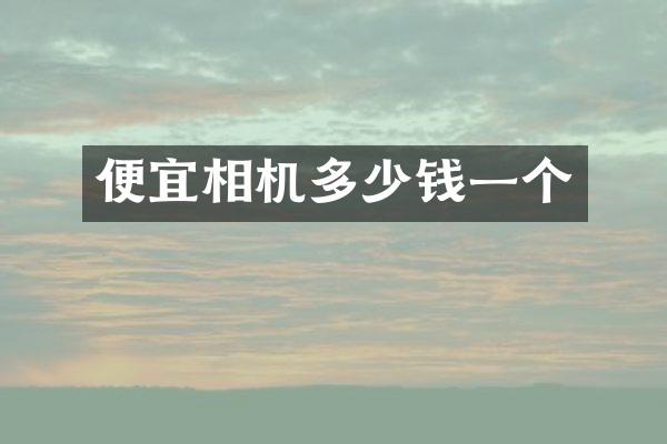 便宜相机多少钱一个