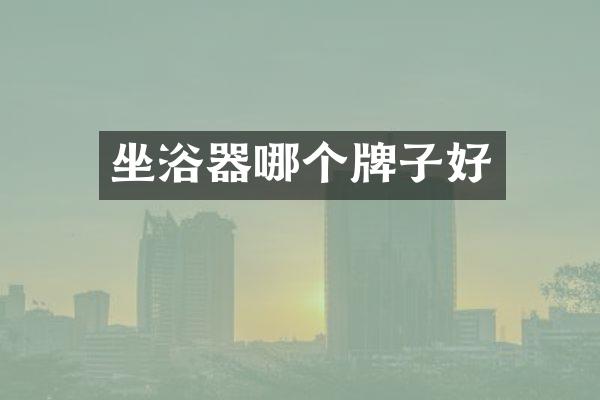 坐浴器哪个牌子好