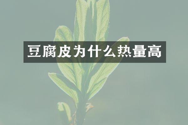 豆腐皮为什么热量高