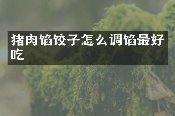 猪肉馅饺子怎么调馅最好吃