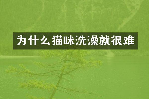 为什么猫咪洗澡就很难