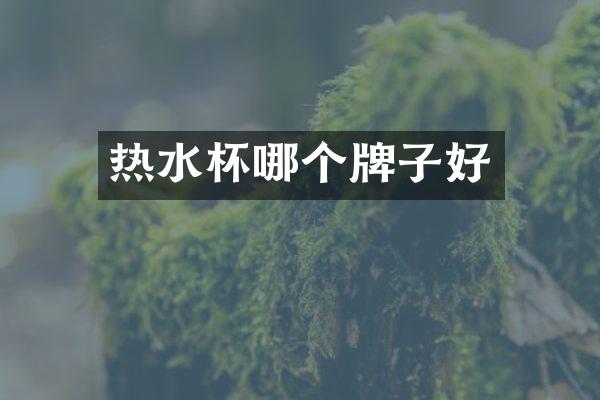 热水杯哪个牌子好
