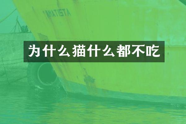 为什么猫什么都不吃