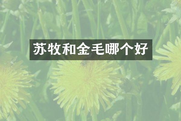 苏牧和金毛哪个好