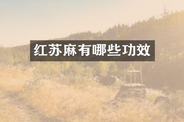 红苏麻有哪些功效