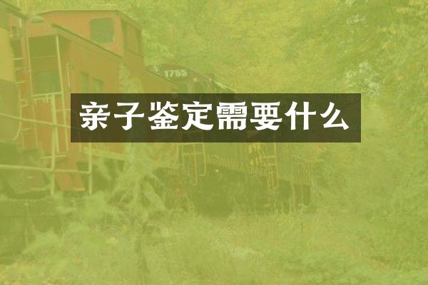 亲子鉴定需要什么