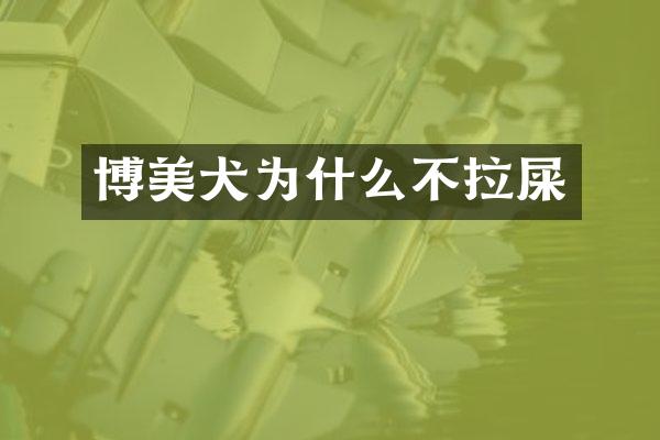 博美犬为什么不拉屎