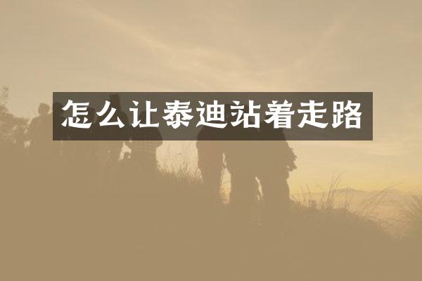 怎么让泰迪站着走路