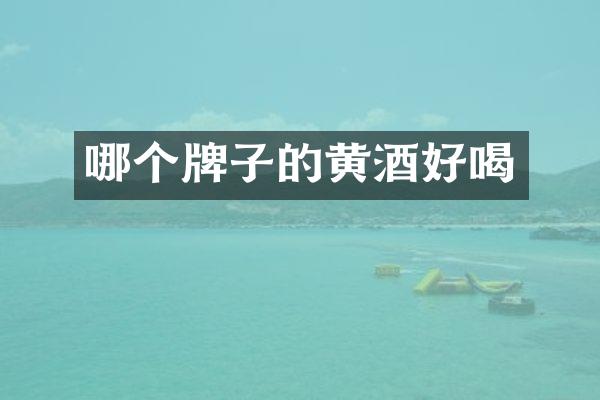 哪个牌子的黄酒好喝