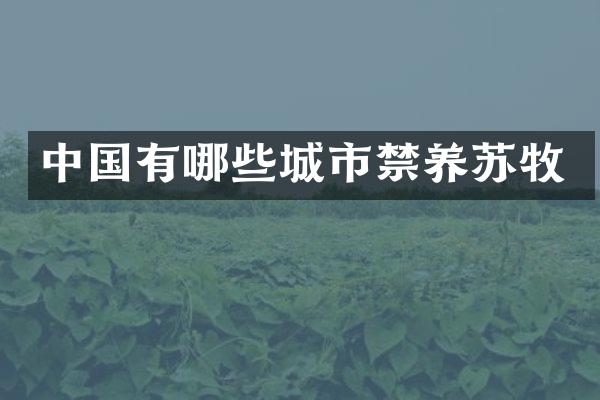 中国有哪些城市禁养苏牧