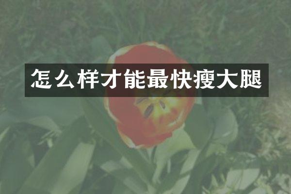 怎么样才能最快瘦大腿