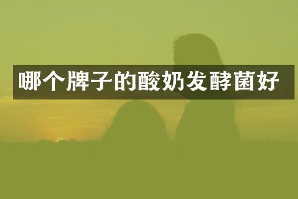 哪个牌子的酸奶发酵菌好