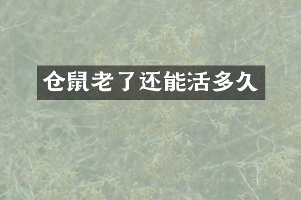 仓鼠老了还能活多久