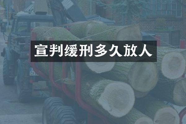宣判缓刑多久放人
