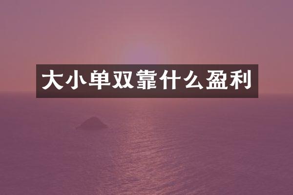大小单双靠什么盈利
