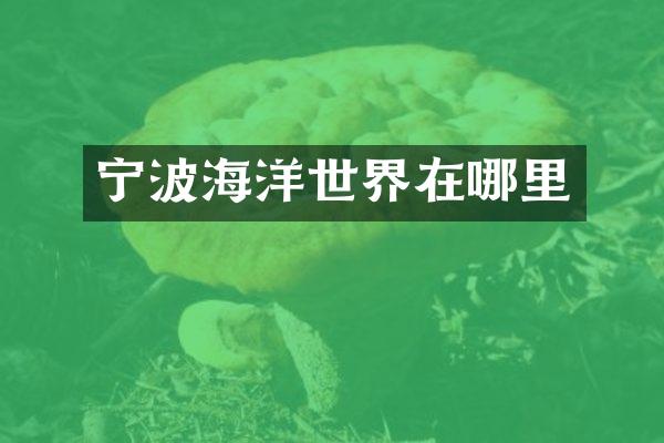 宁波海洋世界在哪里