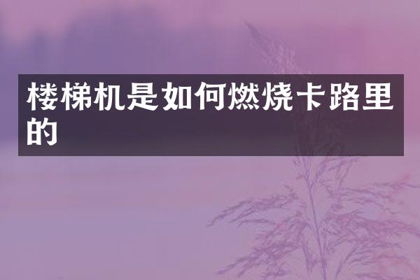 楼梯机是如何燃烧卡路里的