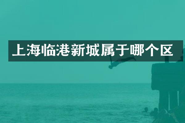 上海临港新城属于哪个区