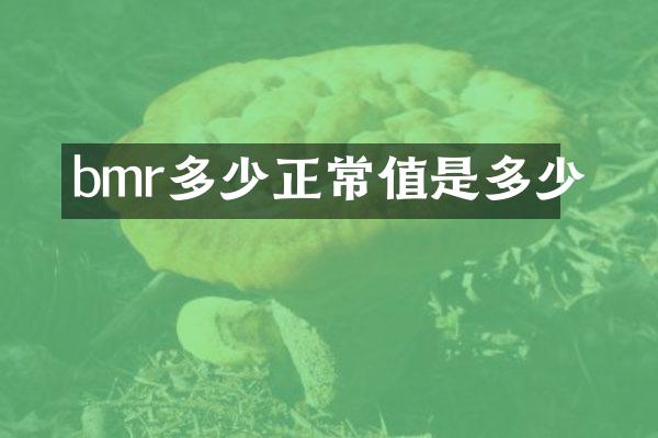 bmr多少正常值是多少