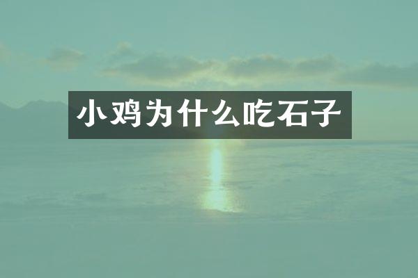 小鸡为什么吃石子