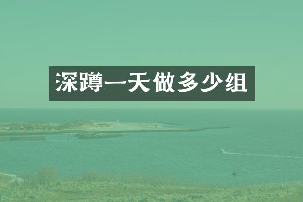 深蹲一天做多少组