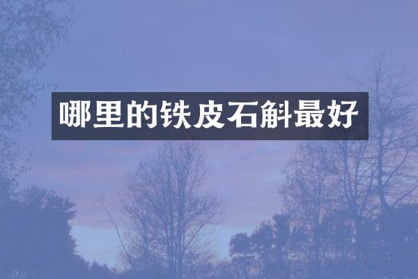 哪里的铁皮石斛最好