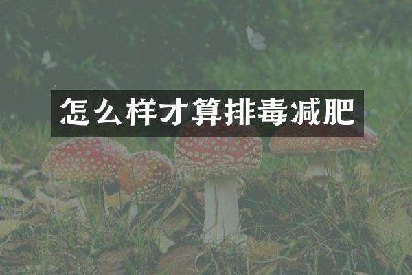 怎么样才算排毒减肥