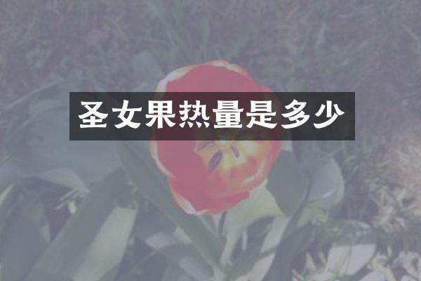 圣女果热量是多少