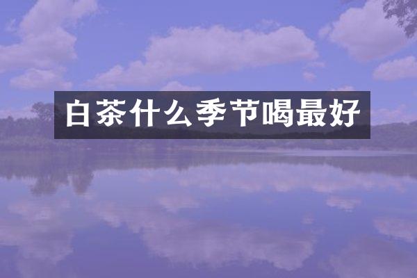 白茶什么季节喝最好