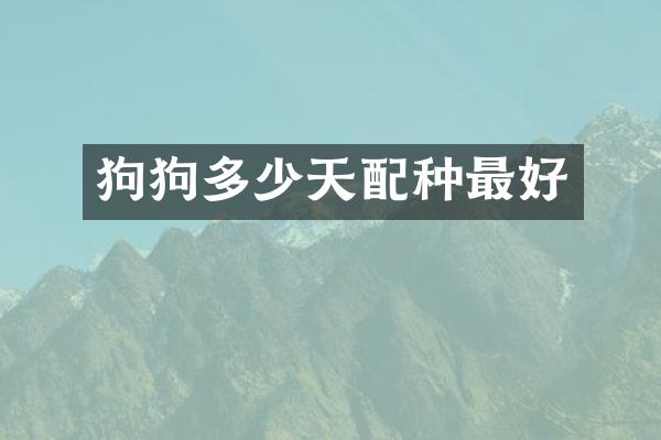 狗狗多少天配种最好