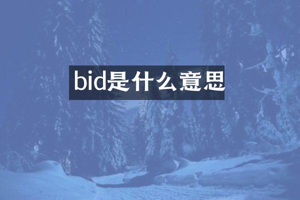 bid是什么意思