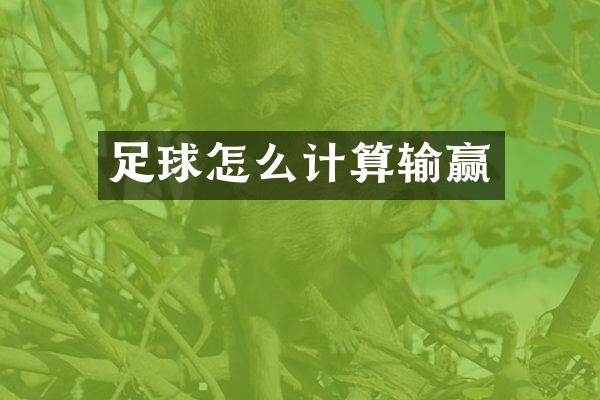 足球怎么计算输赢