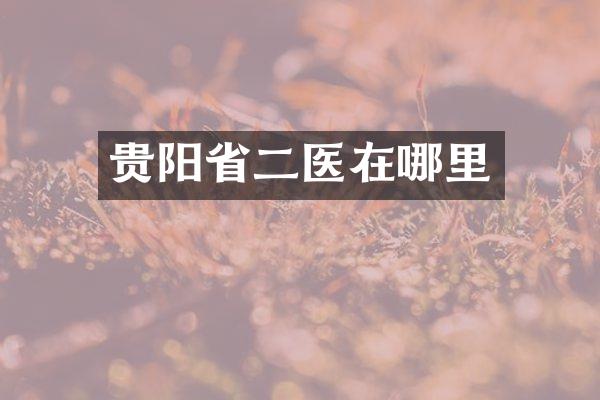 贵阳省二医在哪里