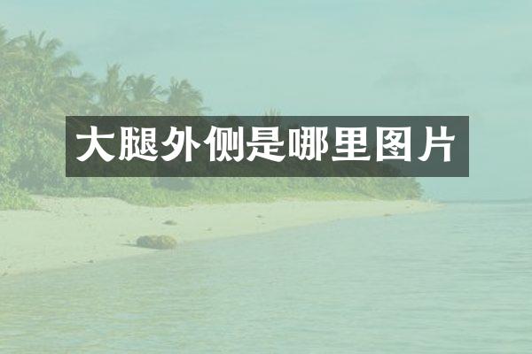大腿外侧是哪里图片
