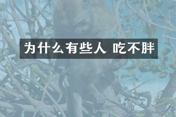 为什么有些人 吃不胖