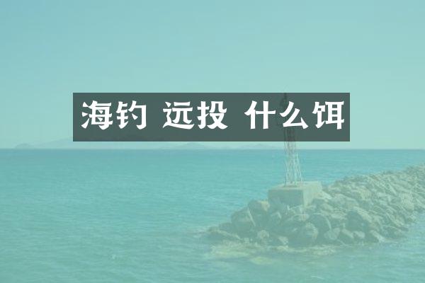 海钓 远投 什么饵