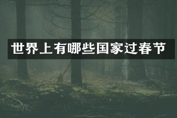 世界上有哪些国家过春节