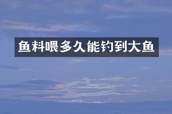 鱼料喂多久能钓到大鱼