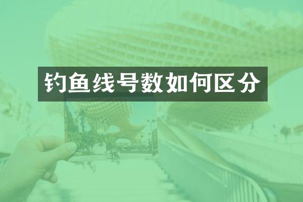 钓鱼线号数如何区分