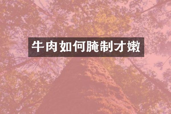 牛肉如何腌制才嫩