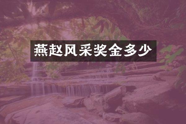 燕赵风采奖金多少