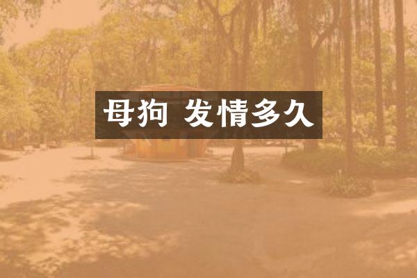 母狗 发情多久