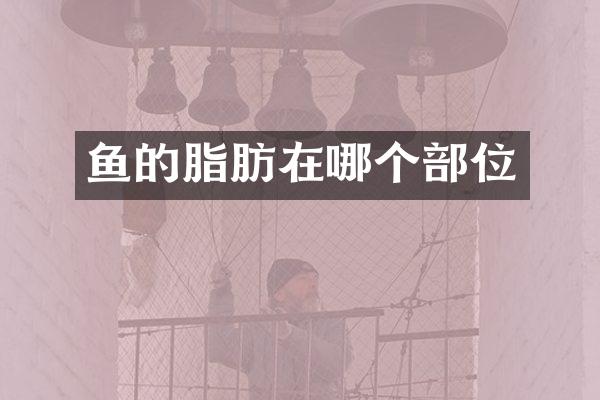 鱼的脂肪在哪个部位