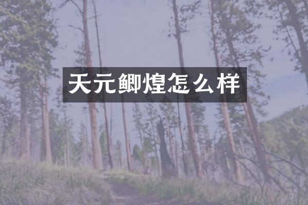 天元鲫煌怎么样
